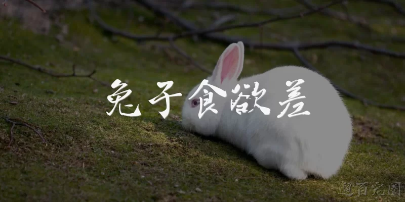 兔子食欲差:兔子食欲差可能是什么原因引起的？