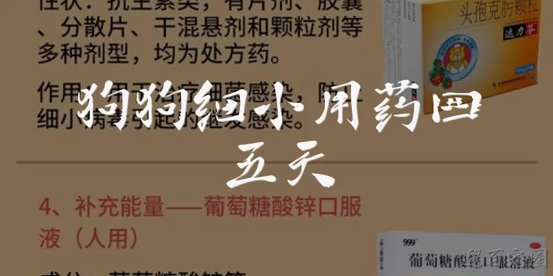 狗狗细小用药四五天
