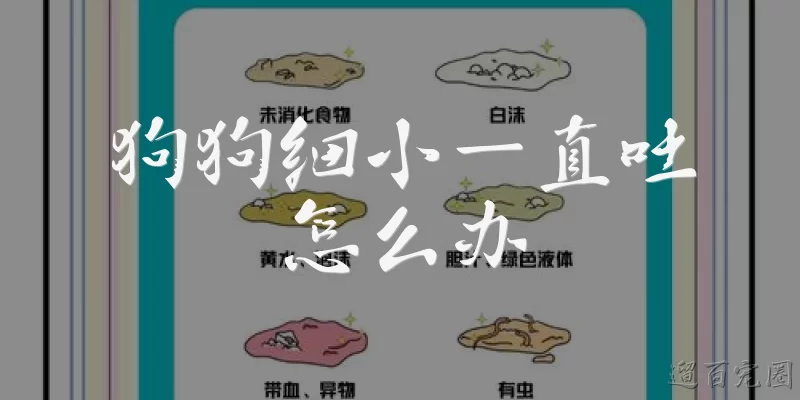 狗狗细小一直吐怎么办