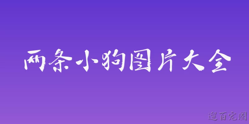 两条小狗图片大全