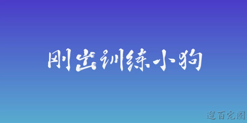 刚出训练小狗