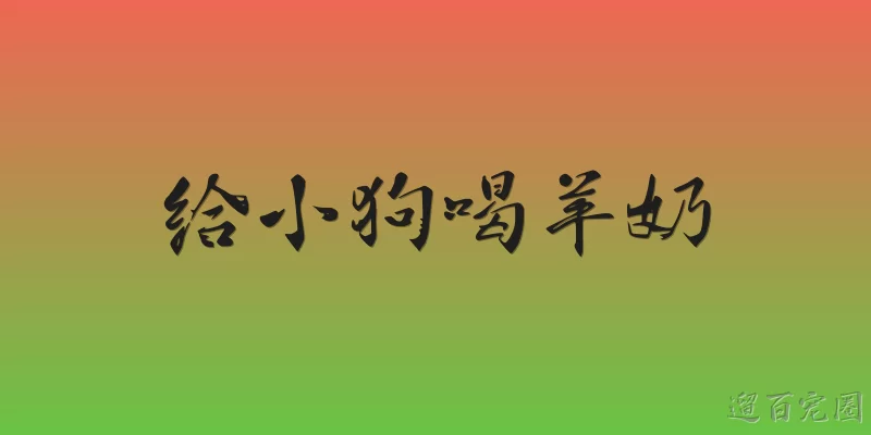 给小狗喝羊奶