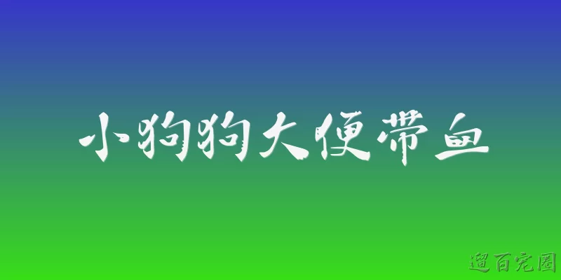 小狗狗大便带血