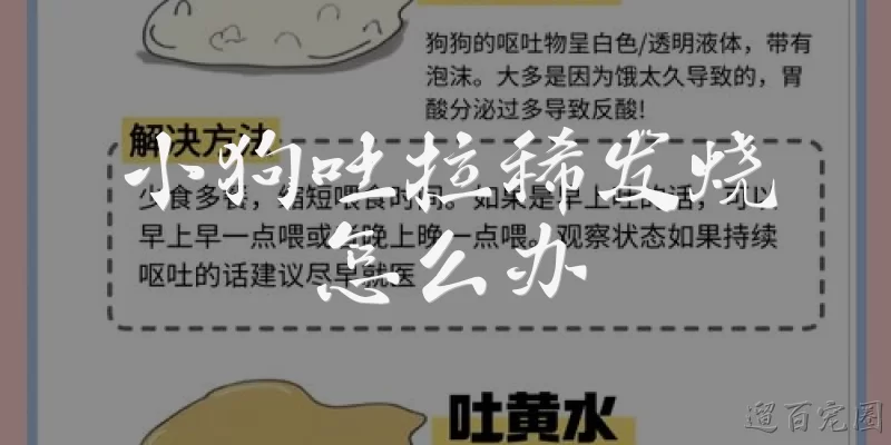 小狗吐拉稀发烧怎么办