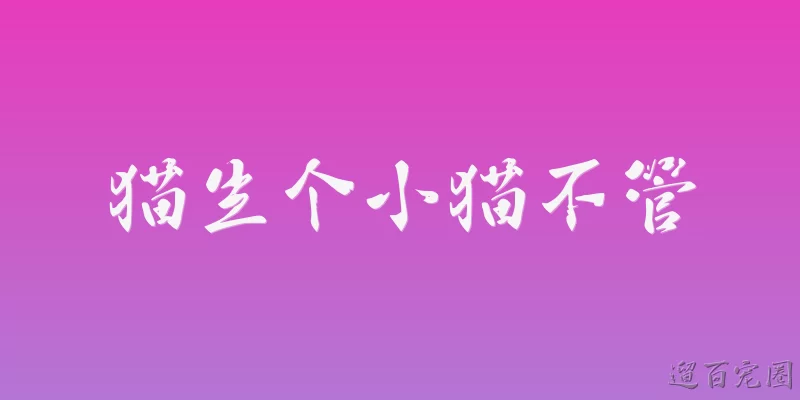 猫生个小猫不管