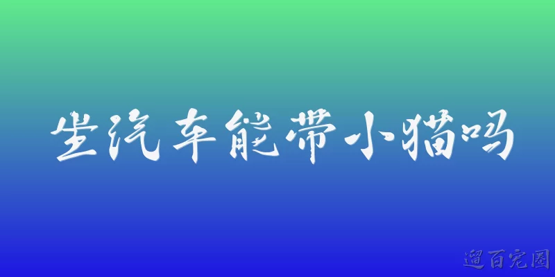 坐汽车能带小猫吗