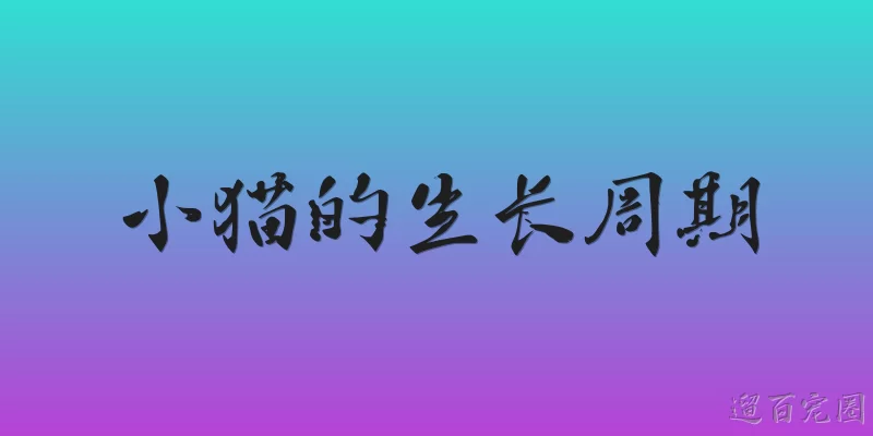 小猫的生长周期