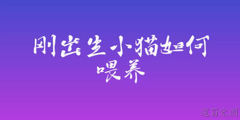 刚出生小猫如何喂养
